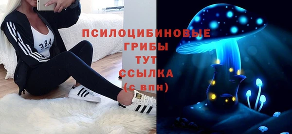 стафф Волоколамск